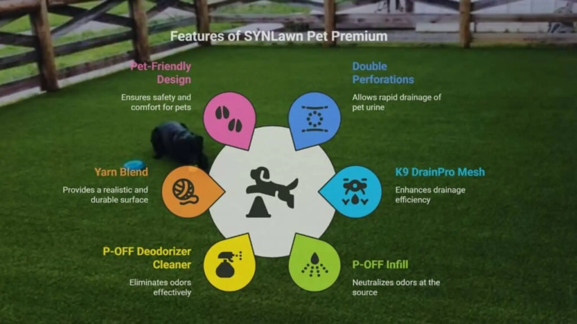 Pet-Friendly Turf Maintenance and Cleaning in Dallas