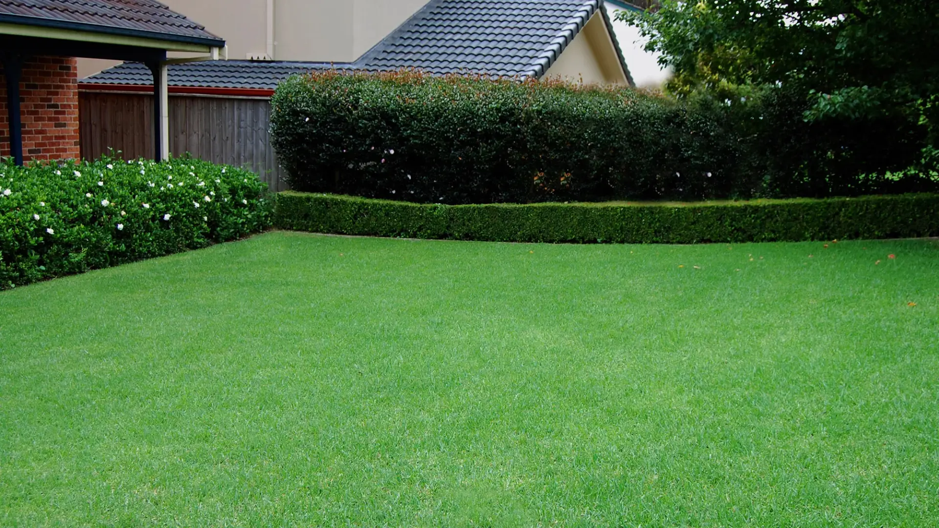 Artificial Grass Installation Services in Dallas