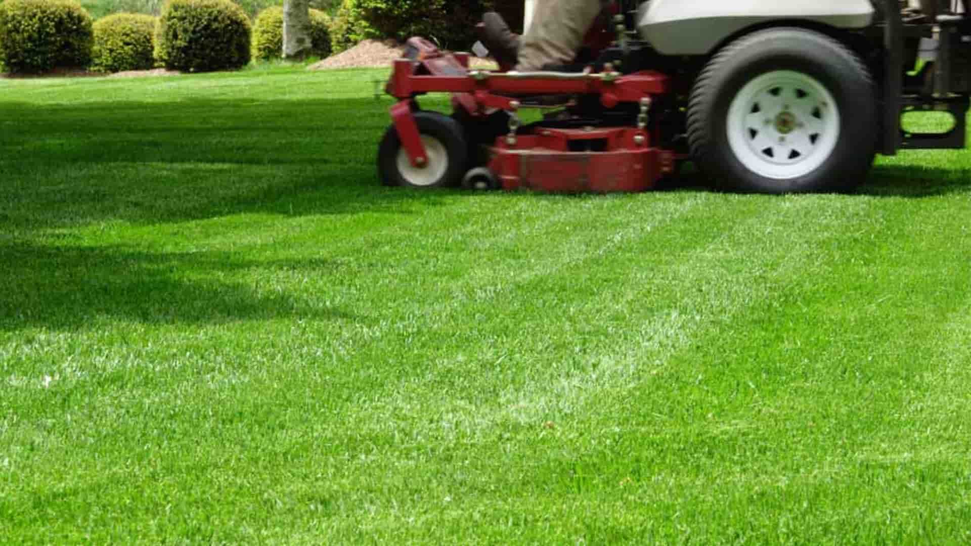 Artificial Landscape Grass Dallas