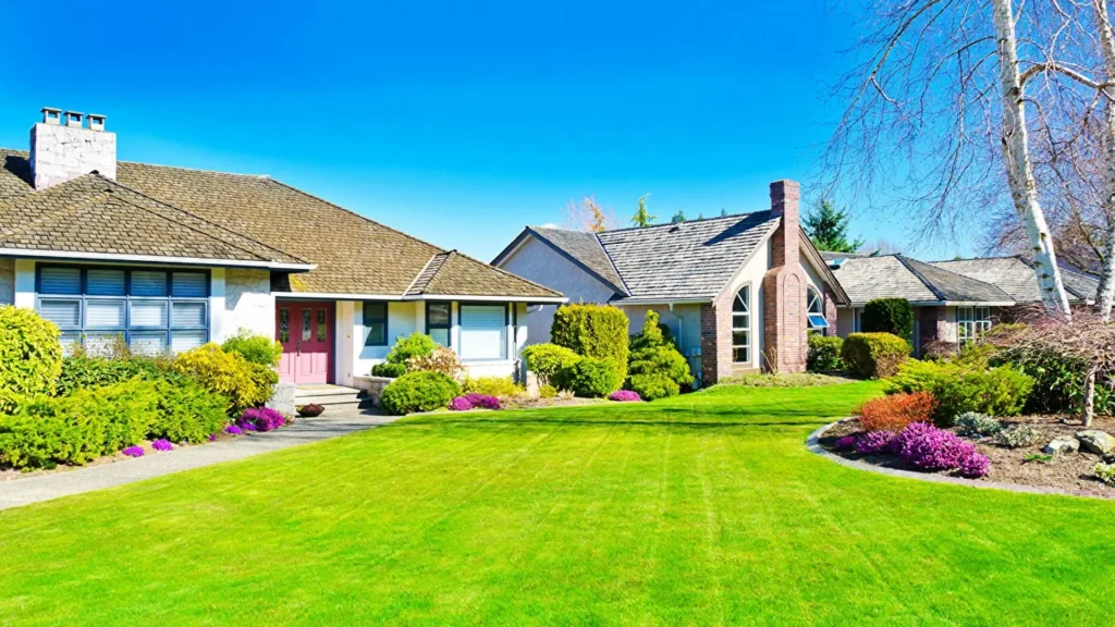  Dallas Synthetic Lawn Products