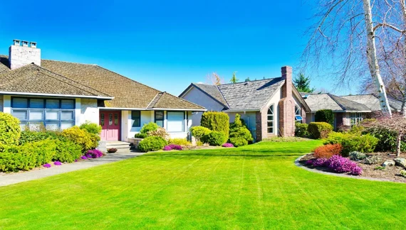  Dallas Synthetic Lawn Products