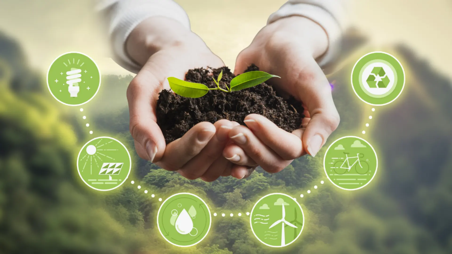 Eco-Friendly and Sustainable Options