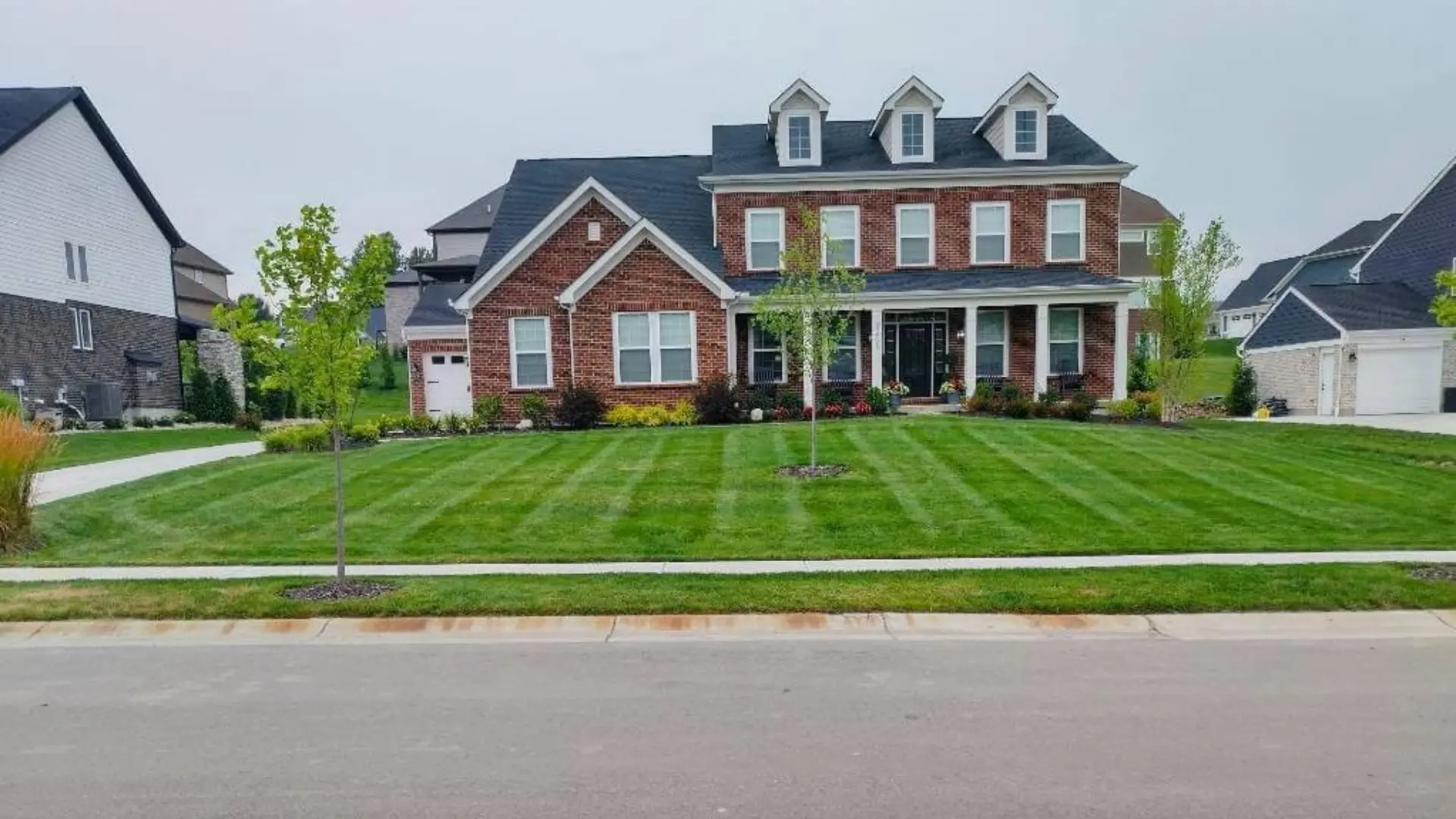 Residential Lawn Transformations